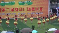 汴河镇代表队县广场舞比赛视频