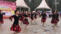 文安田安祖蓝天鹅广场舞舞动中国（16人变队形）