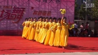 【拍客】临邑广场舞蹈比赛 第四代表队《祝福祖国》