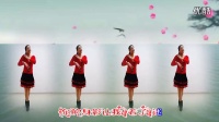 广场舞视频大全【风儿带走我的情】广场舞视频