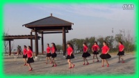 毛主席的光辉 32步正反2个方向 简单易学 子青广场舞（合肥市槐林港口路健身队）创意制