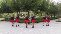 磁县东高录俏骄阳舞蹈团 广场舞美丽的七仙女