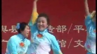 平舆县大新商场舞蹈队2014年广场舞比赛皮影操