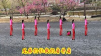 2015年最新广场舞芜湖蜀山茶姐广场舞新年快乐歌