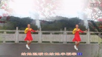 湖南小燕子原创广场舞【女人是世界最美丽的花】