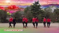 子青广场舞 映山红 简单易学对跳13步（合肥市槐林港口路健身队）创意摄制：小草林