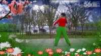南阳和平广场舞系列 我的快乐就是想你（团队版）附有背面演示与动作...