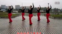 广场舞教学大全《中国红》广场舞视频健身操广场舞教学版