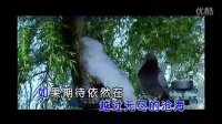 凤凰传奇 - 奢香夫人 - 广场舞版