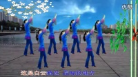 金灿灿广场_舞【月亮传奇】广场舞蹈视频大全2015教学视频大全
