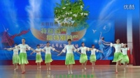 广州荔映广场舞-野百合也有春天（表演版）【编舞：応子】