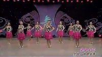 杨艺全民广场舞  貌美如花