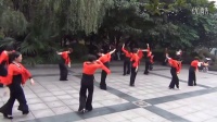 妻子 广场舞 -舞蹈视频