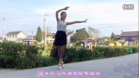 2015年最新广场舞《九九艳阳天》广场舞蹈视频大全2015