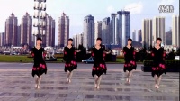 惠汝广场舞最新《妹妹的情歌》广场舞蹈视频大全2015分解慢动作