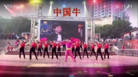 旬阳桂花香广场舞团队中国牛