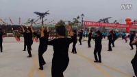 马次范东街秧歌舞蹈队在内黄县庆国庆千人同跳广场舞活动上展演