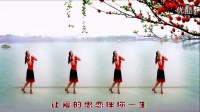金灿灿广场舞【今生最美的遇见】广场舞蹈视频大全2015