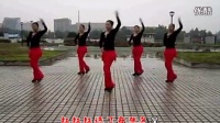 馨悦广场舞《中国红》广场舞蹈视频大全2015