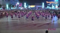 紫蝶踏歌广场舞 草裙舞- 糖豆网广场舞视频大全