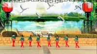 安庆小红人广场舞（欢声笑语飞过河）原创编舞 黄梅飘香 团队背面