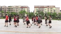 里湖邂逅广场舞 向上攀爬 最新广场舞视频大全2015