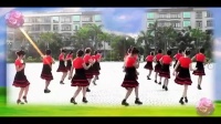 里湖邂逅广场舞 荷东迪斯高 广场舞蹈视频大全2015