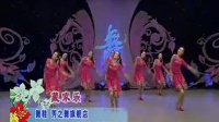 杨艺全民广场舞 藏家乐
