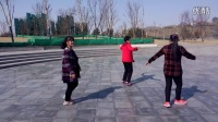 文安县界围农场大杨树广场舞—《金珠玛》