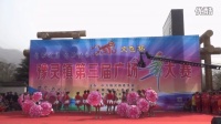 2016年豫灵镇第三届文飞杯广场舞大赛“三等奖”获得者------董社村代表队