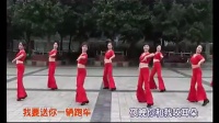 广场舞教学分解动作视频 周思萍广场舞 伤不起