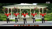 2016最新广场舞《又见山里红》广场舞蹈视频大全