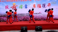 溧水区 和凤镇 三八妇女节广场舞获三等奖 石臼湖畔张家村舞队表演