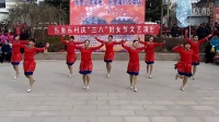 淄博市沂源县东里镇东村庆三八妇女节广场舞演出