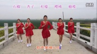广场舞视频大全【凤凰飞】(团队版） 编舞云裳_广场舞16步教学