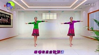 嫣紫广场舞--《风中的额吉》制作阿明老师  编舞応子 廖弟