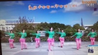 南良水广场舞策马奔腾视频。