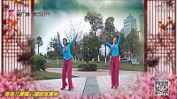 江西樟树-阿华阿琴广场舞《桃花扇》
