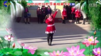 辛集市南瓦村“开展全民健身  幸福舞动中国”广场舞《玛尼情歌》
