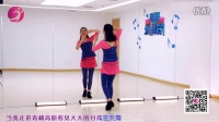 《大高原》 乐享广场舞教程视频 高清