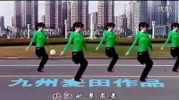 2014最新广场舞蹈视频大全 惠汝广场舞背面分解_超清