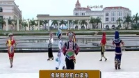 红河州民族健身舞 广场舞_标清