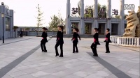 北京清影广场舞-八步前面的那个姑娘_超清