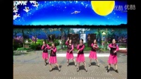 上南公园学跳广场舞-------游牧时光mp4