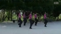 杨丽萍广场舞 《套马杆》动动广场舞 广场舞视频 广场舞教学 广场舞视频 健身操