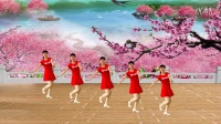 广晋广场舞《不做你幸福的玫瑰》32步变队形
