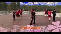 双人舞 广场舞 圈舞系列 阿拉妹子下扬州 (附背面)