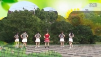 师桥公园亚亚广场舞2016年最新广场舞《 天籁传奇》三组