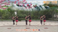 舞韵新禾广场舞《花心传说》恰恰对跳双人舞