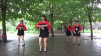 灵寿县马家庄舞蹈队《广场舞集锦》